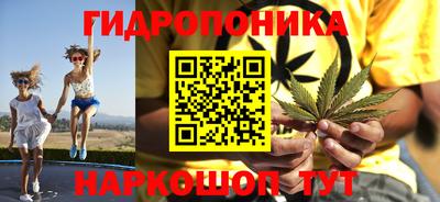 сатива Краснокаменск